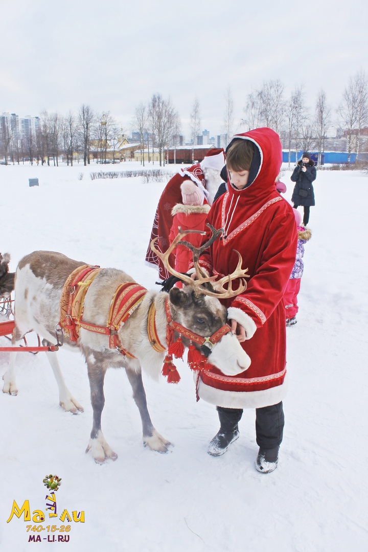 новогодняя елка дед мороз в санях